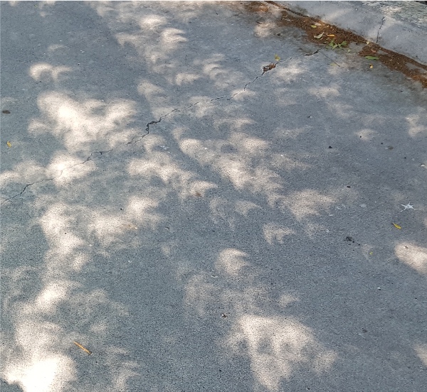 Photo of eclipse shadows